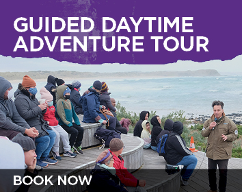 2673 PP Adventure Tour Home Page 354x280px