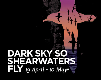 2867 DarkSky 2026 HomePageSlider 354x280px