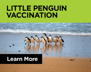 2927 Home Page Slider Avian Flu Final V2 v2