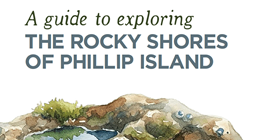 Screenshot 2025 12 16 145628