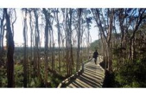 SetSize235155 rhyll wetlands virtual tour