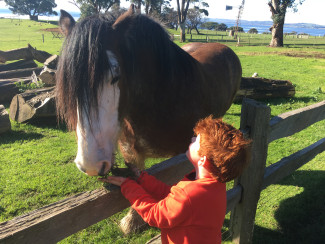 Oskar and Clydesdale 2