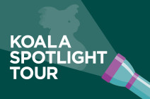 2923 Spolight Koala Whats On Tile 235x155px Final v2